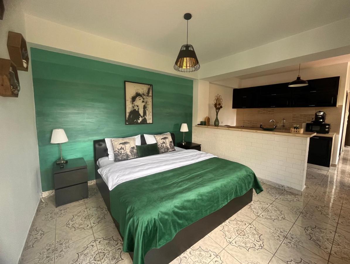 Natura City Center Studio Brasov Ngoại thất bức ảnh