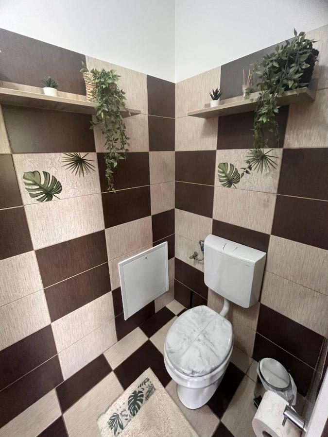 Natura City Center Studio Brasov Ngoại thất bức ảnh